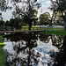 Winter Reflections From OZ