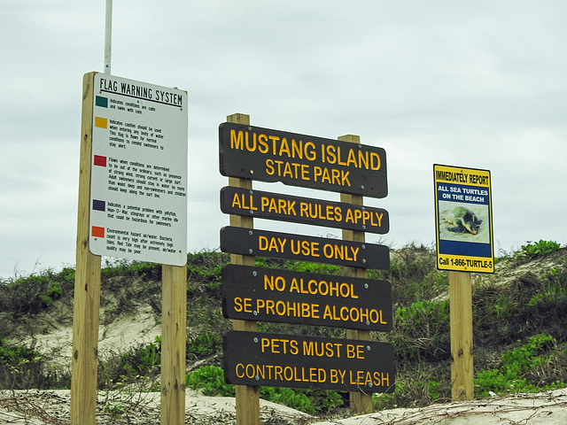 Day 4, beach at Mustang Island State Park