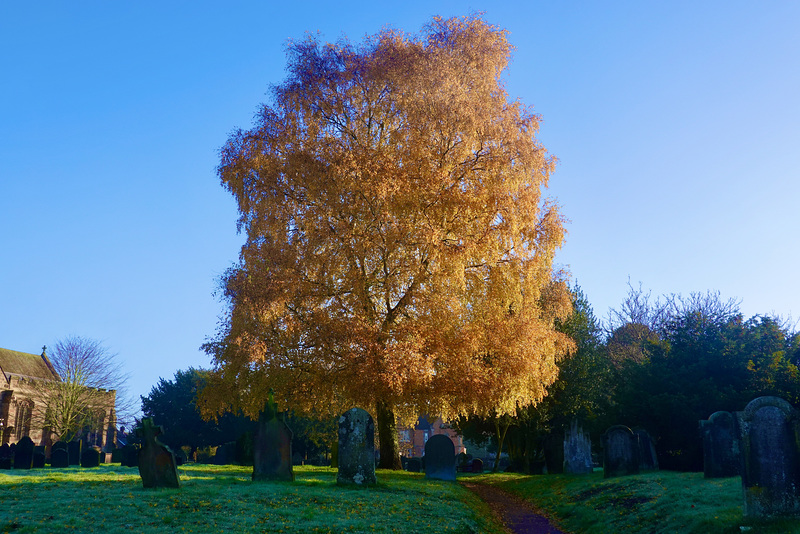 Vivid autumn colours
