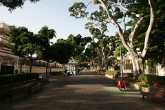 Rambla De Santa Cruz