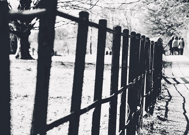 Parkland Fencing