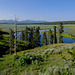 Valley in Yellowstone