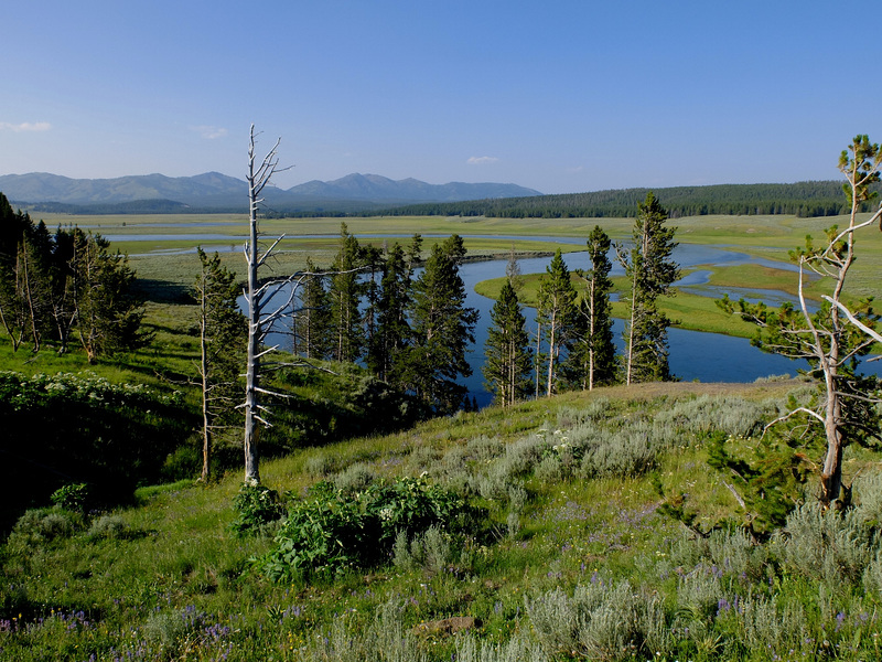 Valley in Yellowstone