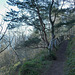 Some fencing on the edge of a precipitous cliff edge on the track to the top of the South Soutor