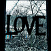 love and snow 1
