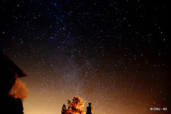 Starry starry Night