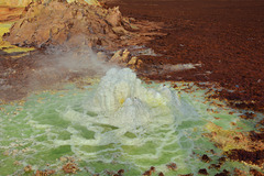 Ethiopia, Danakil Depression, Sulfur Geyser in the Crater of Dallol Volcano.