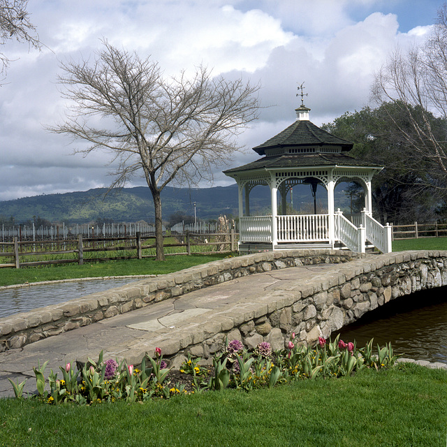 Gazebo in Need of Mariachis