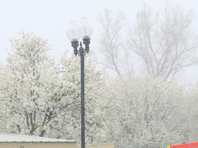 Yes, snow on April 20th. in Michigan.