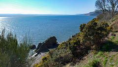 View out across the Moray Firth from the South Soutor track