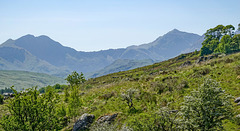Mount Snowdon in the background