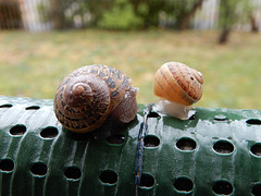 conversation sur mon balcon,