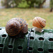 conversation sur mon balcon,