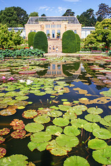 Seerosenteich