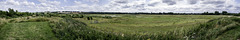 Panoramic view over Tice's Meadow