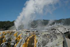 Pohutu Geysir