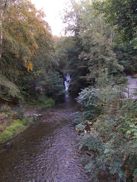 DyF - waterfall