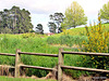 Park Fence.