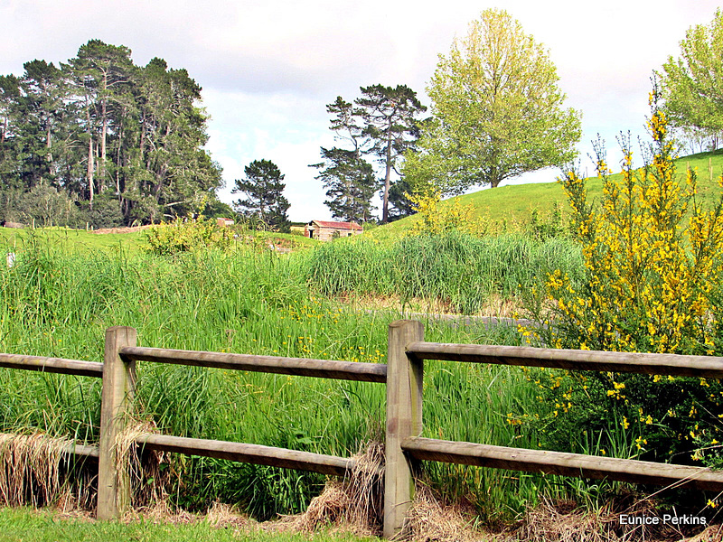 Park Fence.