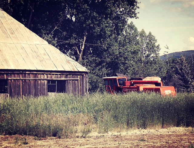 Massey-Ferguson