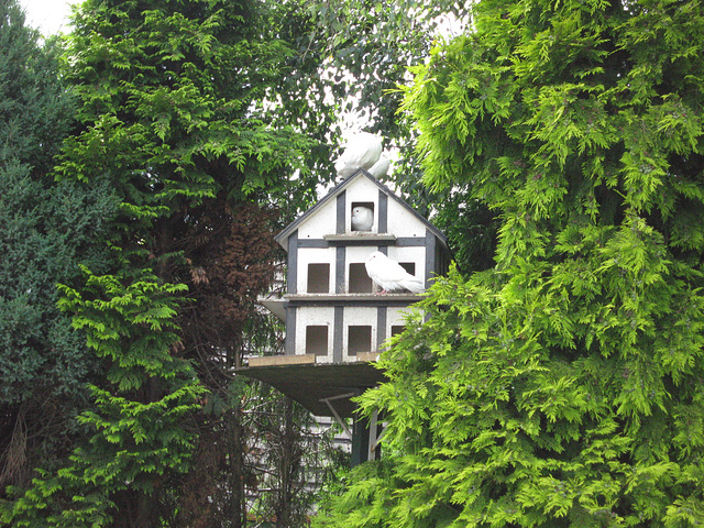 Dovecote at Forestry Centre near Rosliston