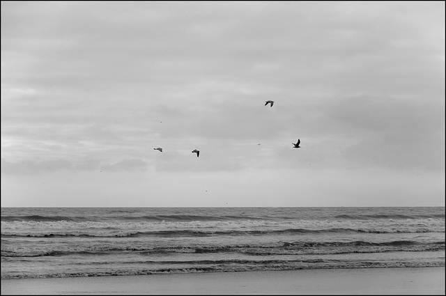 La mer, le ciel, le cri des goélands, et rien d'autre