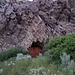 Adit, Gilligan Mine, Egan Canyon