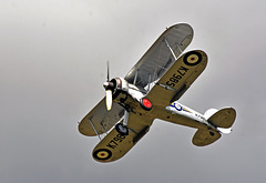 Gloster Gladiator