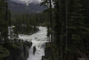 Sunwapta Falls ... P.i.P. (© Buelipix)