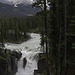 Sunwapta Falls ... P.i.P. (© Buelipix)