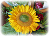 Un bouquet de soleil pour un bon WE !belle journée à vous