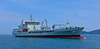 RFA TIDERACE