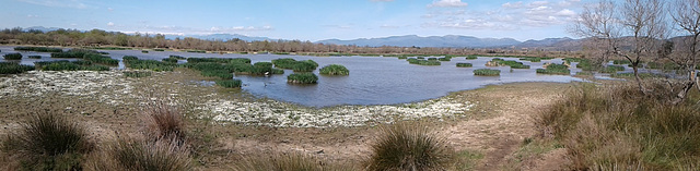 Die Teiche von Vilaüt