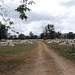 Thaï cemetery / Cimetière thaïlandais
