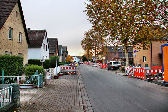 Hartfeldstraße (Neukirchen-Vluyn) / 9.11.2018