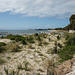 Rottnest Island