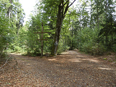 Blick zum beschädigten Dreikreuz