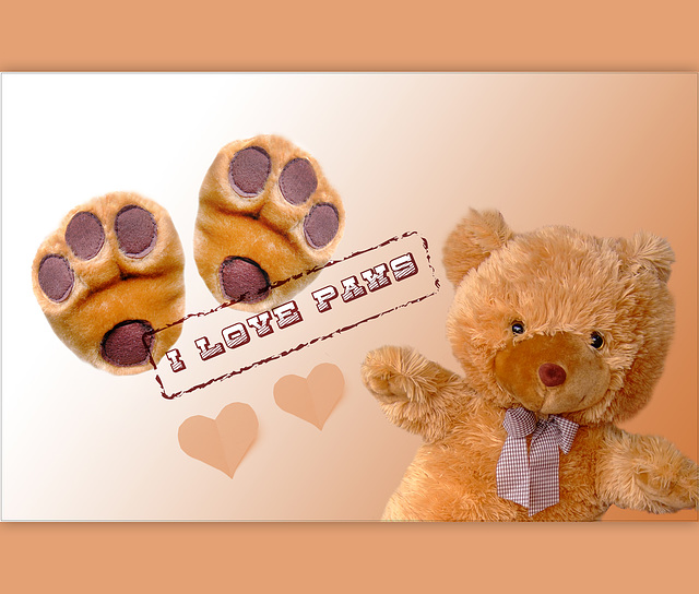 Paws ♥ ♥