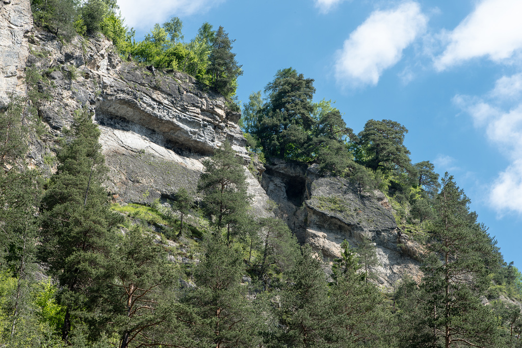 Felspartie und Vegetation nahe des Landwasserviadukts - 2015-06-12--D4 DSC2475-2