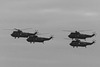 Sea King Farewell (1) - 21 March 2016