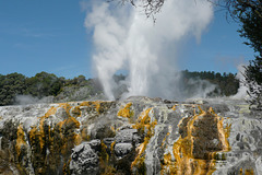 Pohutu Geysir