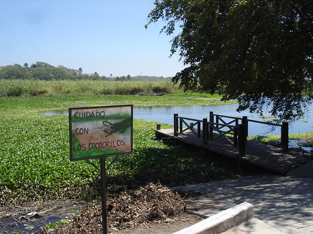 Andador laguna del tule / No-20