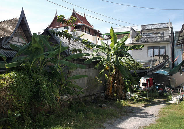 Fond de cour / Backyard