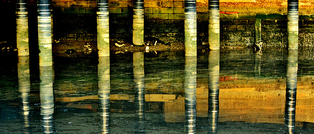 Pillars under the bridge 1