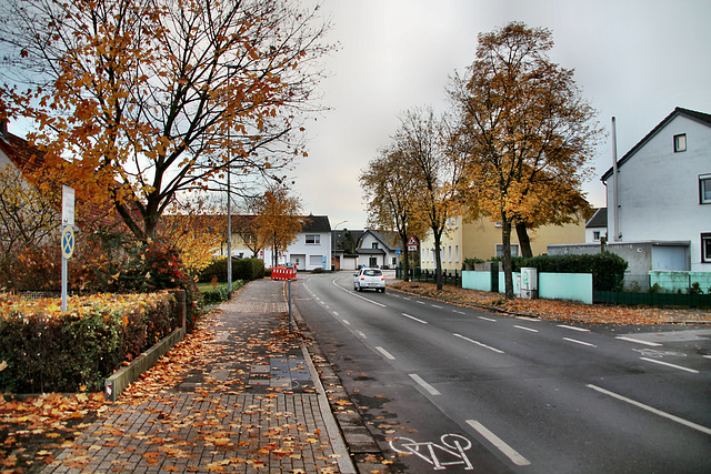 Vluyner Südring (Neukirchen-Vluyn) / 9.11.2018