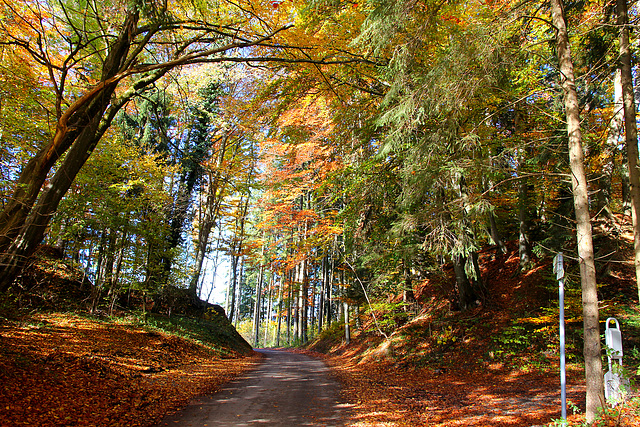 Goldener Oktober 2020