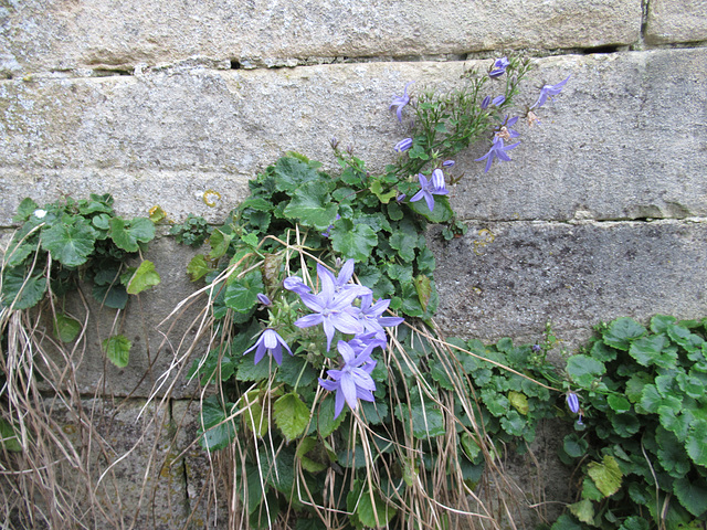 Painswick, Gloucestershire