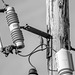Electrical Inspector