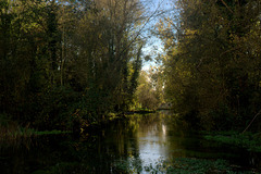 L'Aigre à la Ferté-Villeneuil