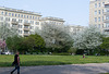 Berlin Karl Marx Allee (#2559)